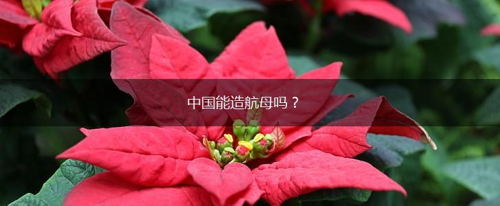 中国能造航母吗？,第1张