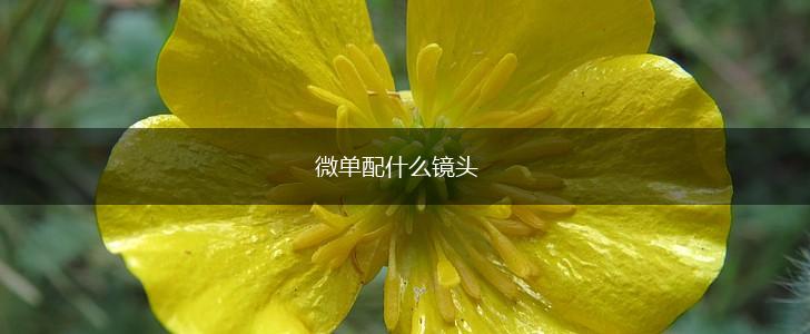 微单配什么镜头,第1张