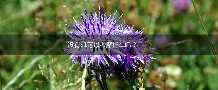 没有c1可以考摩托车吗？,第1张