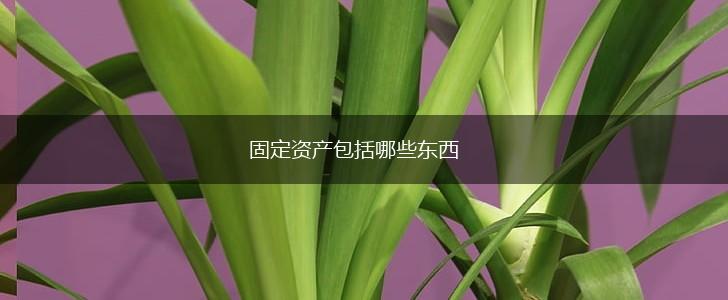 固定资产包括哪些东西,第1张 固定资产包括哪些东西,第1张