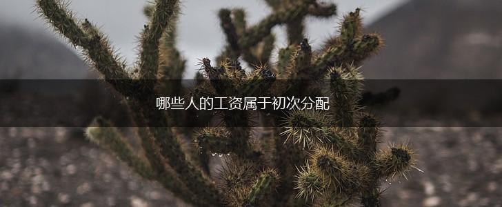 哪些人的工资属于初次分配,第1张