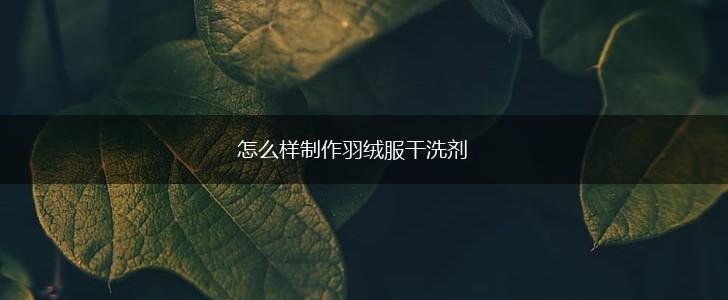怎么样制作羽绒服干洗剂,第1张