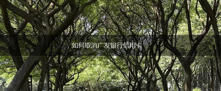 如何取消广发银行信用卡,第1张