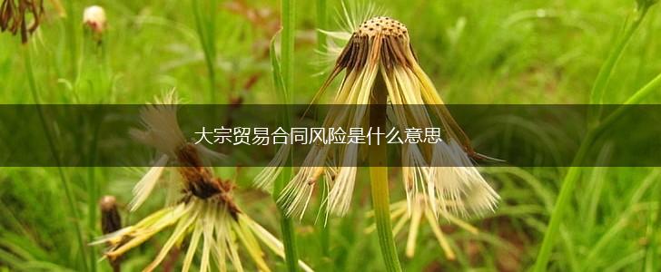 大宗贸易合同风险是什么意思,第1张
