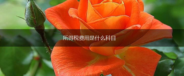 所得税费用是什么科目,第1张