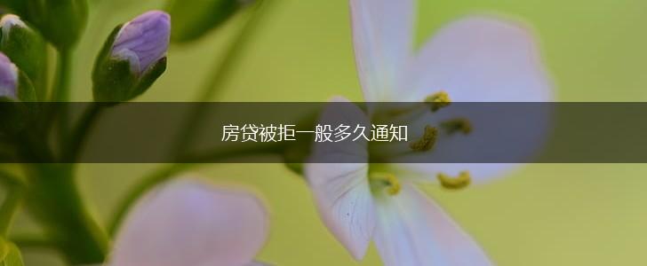 房贷被拒一般多久通知,第1张