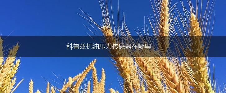 科鲁兹机油压力传感器在哪里,第1张