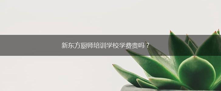 新东方厨师培训学校学费贵吗？,第1张