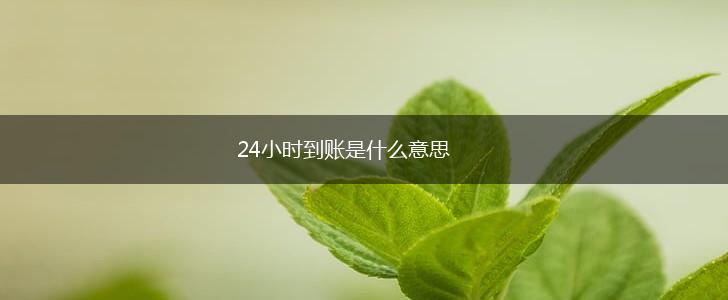 24小时到账是什么意思,第1张