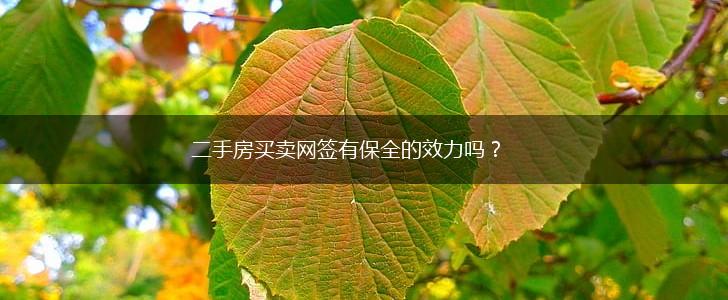 二手房买卖网签有保全的效力吗？,第1张