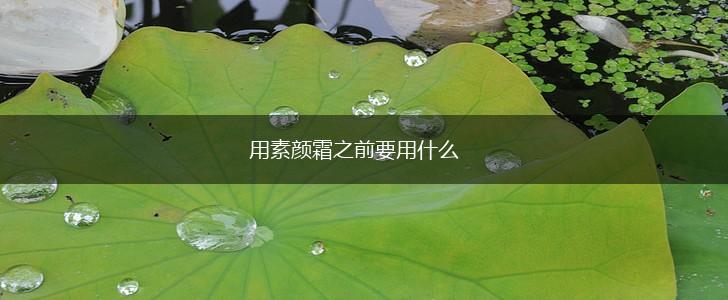 用素颜霜之前要用什么,第1张