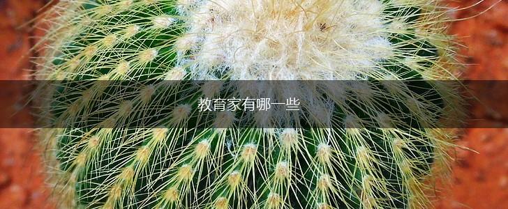 教育家有哪一些,第1张