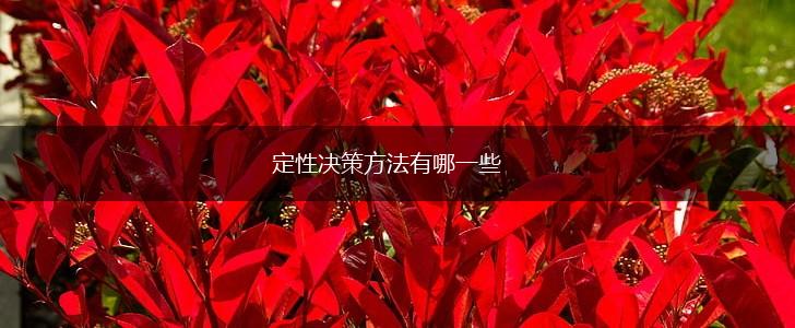 定性决策方法有哪一些,第1张