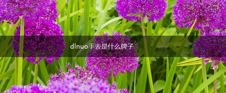 dlnuo手表是什么牌子,第1张