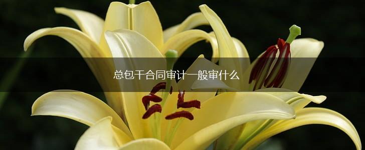 总包干合同审计一般审什么,第1张
