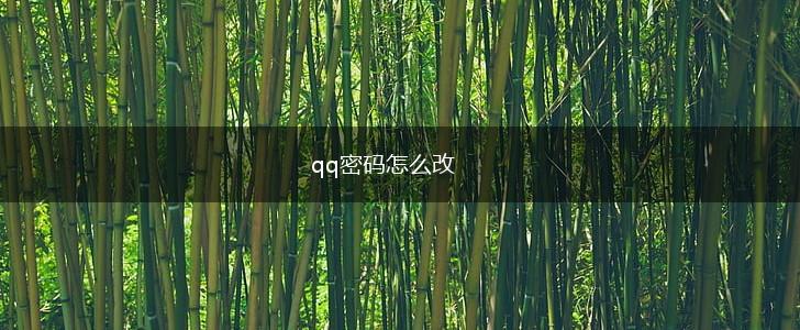 qq密码怎么改,第1张