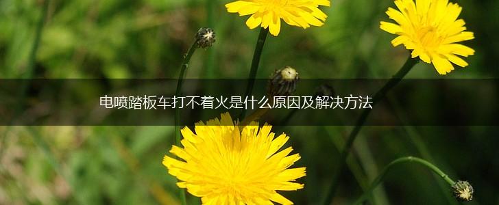 电喷踏板车打不着火是什么原因及解决方法,第1张