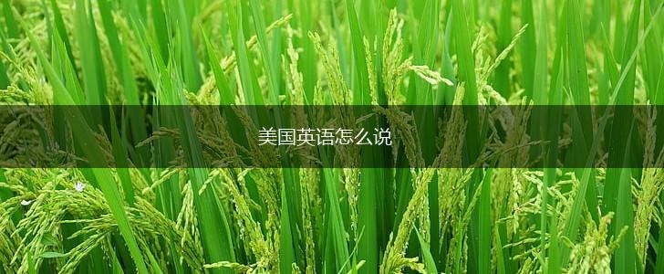 美国英语怎么说,第1张