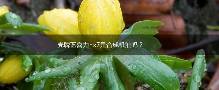 壳牌蓝喜力hx7是合成机油吗？,第1张