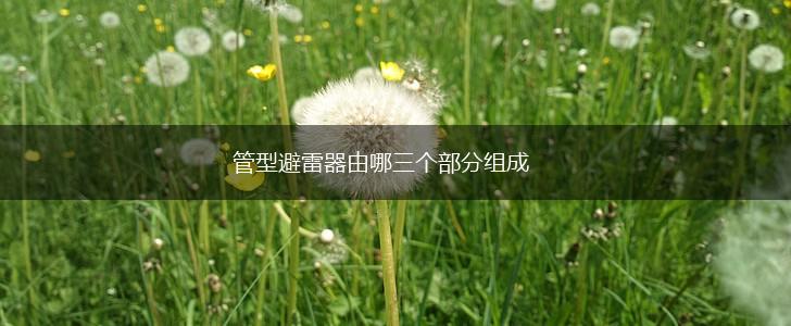 管型避雷器由哪三个部分组成,第1张