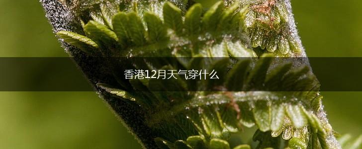 香港12月天气穿什么,第1张