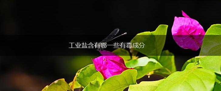 工业盐含有哪一些有毒成分,第1张