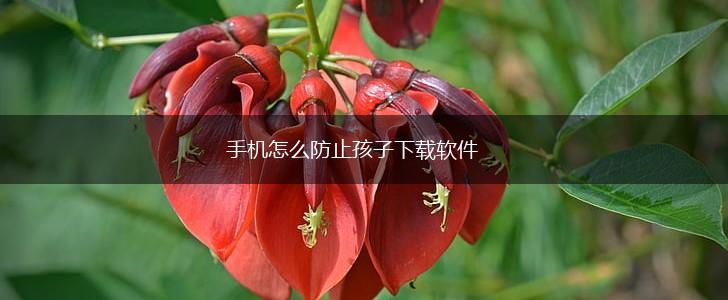 手机怎么防止孩子下载软件,第1张