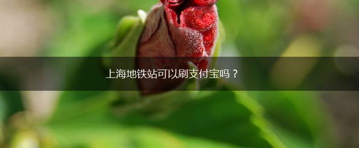 上海地铁站可以刷支付宝吗？,第1张