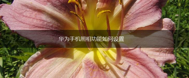 华为手机照相功能如何设置,第1张