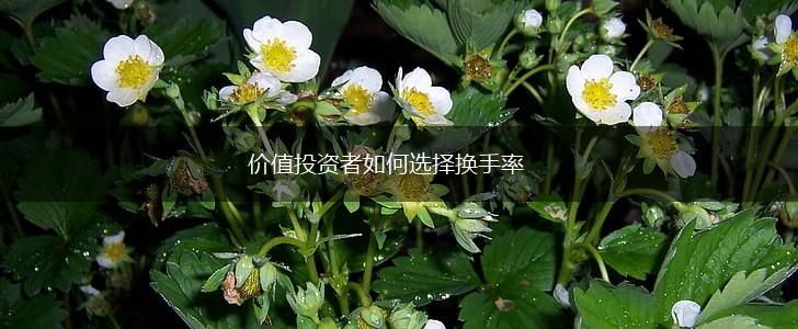 价值投资者如何选择换手率,第1张 价值投资者如何选择换手率,第1张