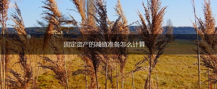 固定资产的减值准备怎么计算,第1张