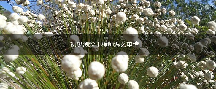 初级测绘工程师怎么申请,第1张