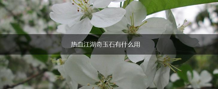 热血江湖奇玉石有什么用,第1张