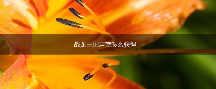 战龙三国声望怎么获得,第1张