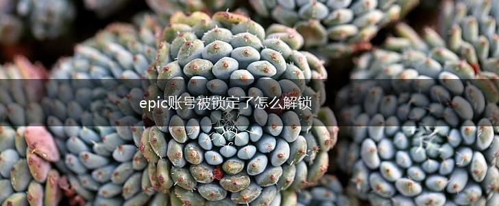 epic账号被锁定了怎么解锁,第1张