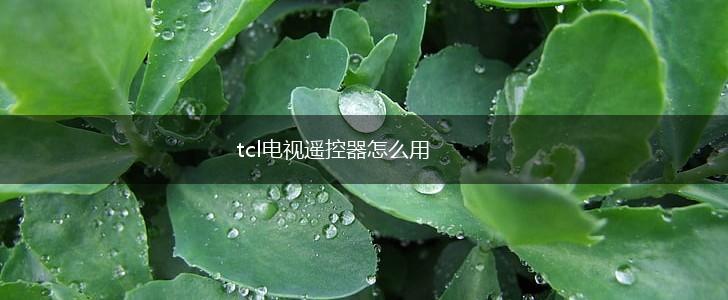 tcl电视遥控器怎么用,第1张