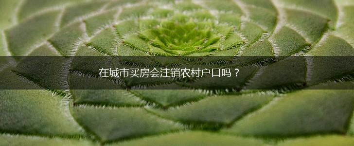 在城市买房会注销农村户口吗？,第1张
