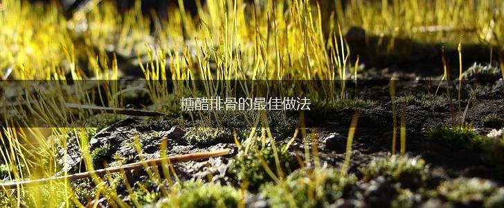 糖醋排骨的最佳做法,第1张