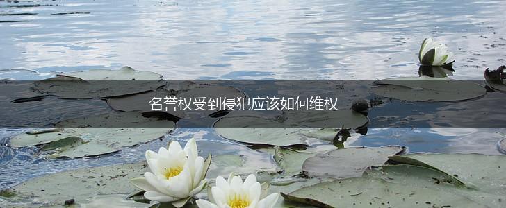 名誉权受到侵犯应该如何维权,第1张
