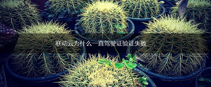 联动云为什么一直驾驶证验证失败,第1张
