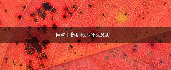 自动上链机械表什么意思,第1张