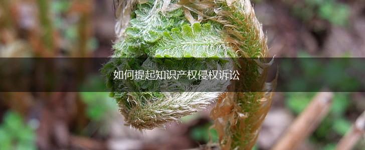 如何提起知识产权侵权诉讼,第1张
