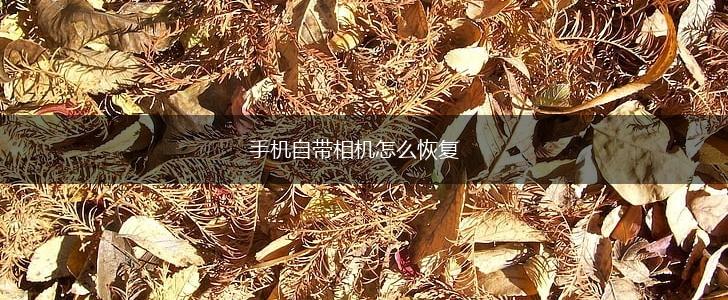 手机自带相机怎么恢复,第1张