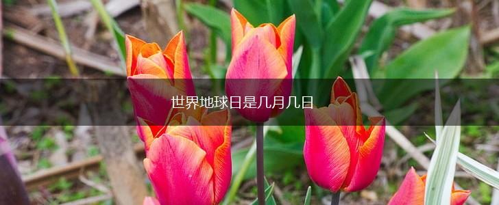 世界地球日是几月几日,第1张