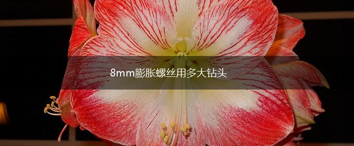 8mm膨胀螺丝用多大钻头,第1张