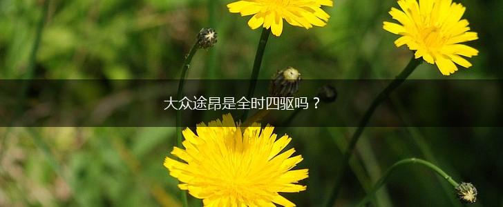 大众途昂是全时四驱吗？,第1张
