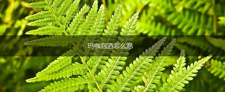 玛咖泡酒怎么泡,第1张