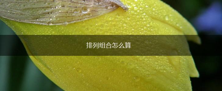 排列组合怎么算,第1张