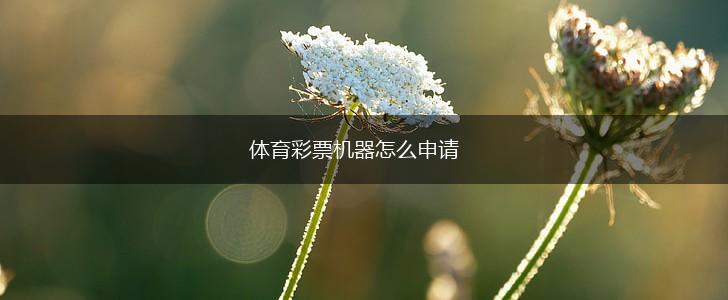体育彩票机器怎么申请,第1张