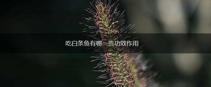 吃白条鱼有哪一些功效作用,第1张